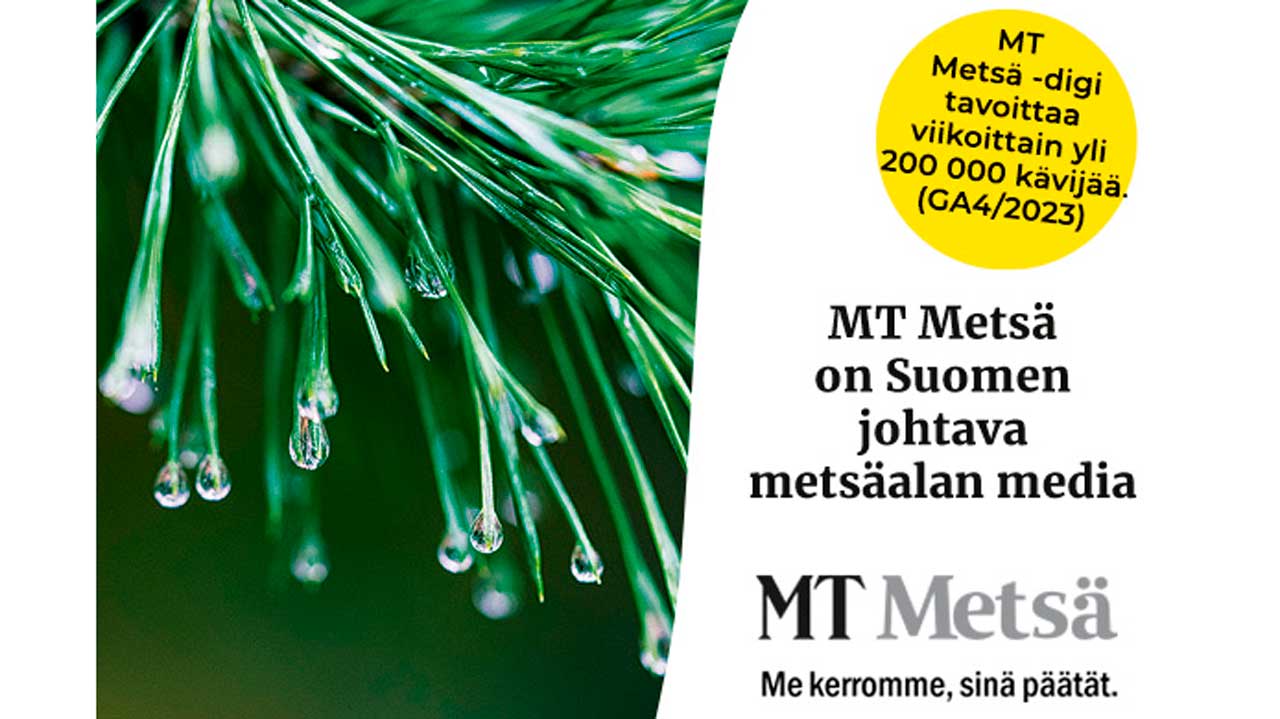 MT-Metsa-6_uutiskirjeeseen