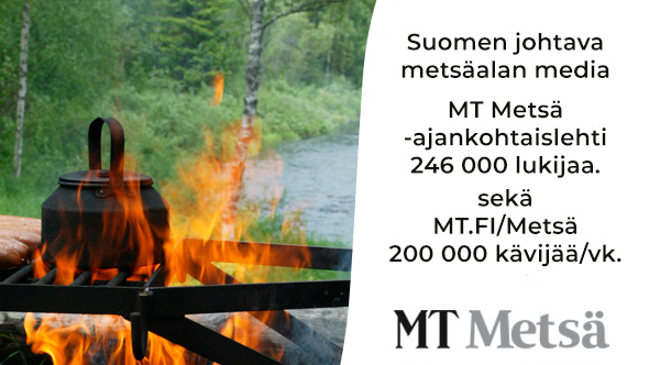 MT-Metsa_7