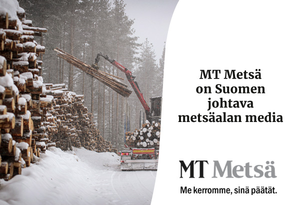 MT-Metsa-10_uutiskirjeeseen