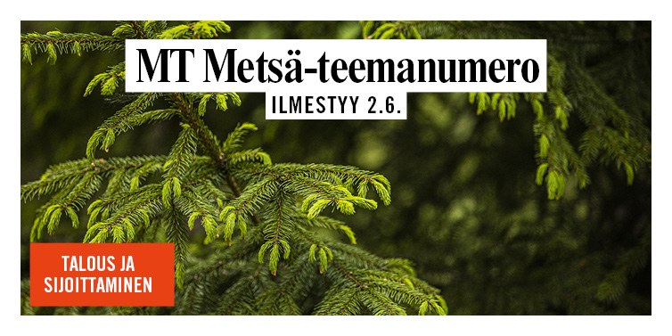 MT Metsä 4 Uutiskirjeeseen