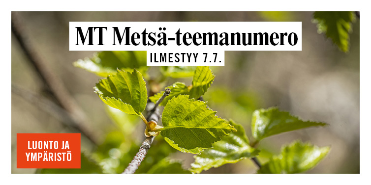 MT Metsä 5 Uutiskirjeeseen
