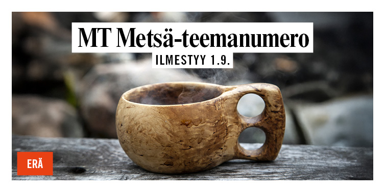 MT Metsä 6 Uutiskirjeeseen